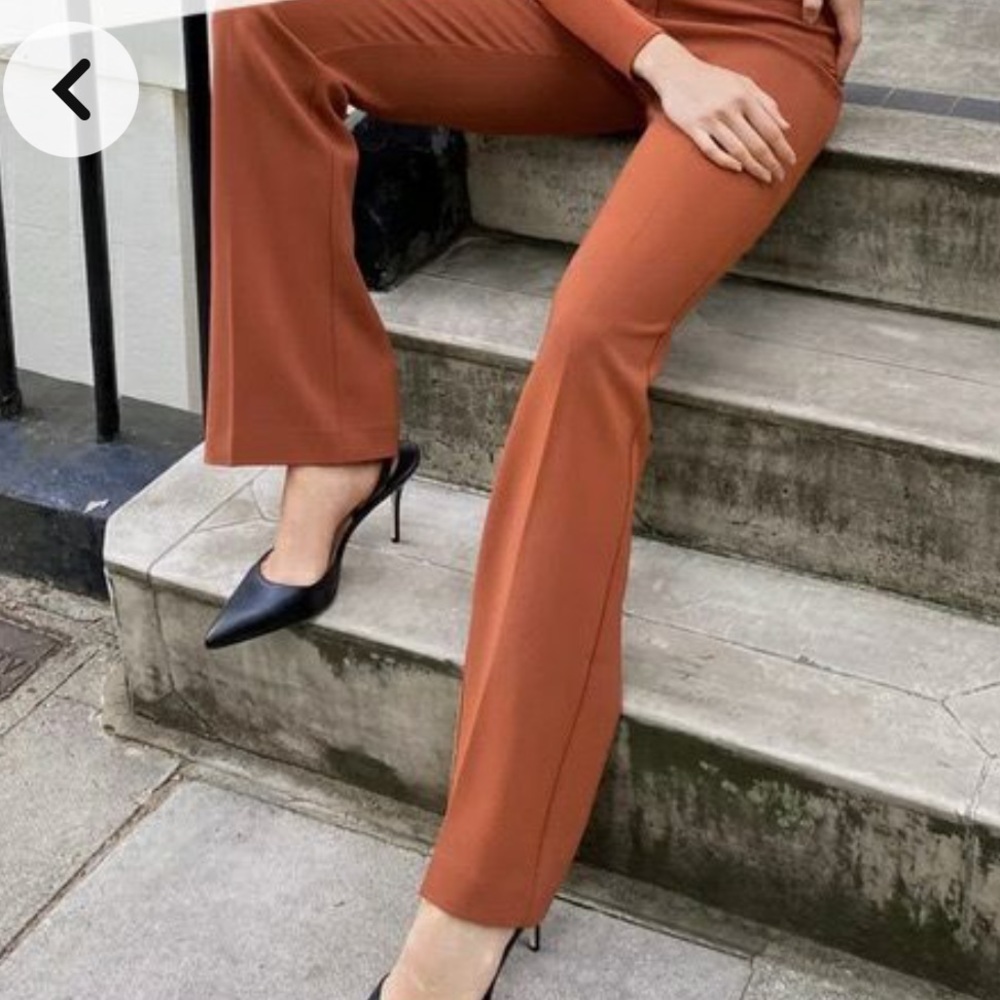 Aritzia Raval Pant - Picture 2 of 6